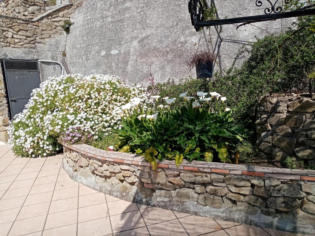 La Vecchia Fattoria Bed and breakfast
